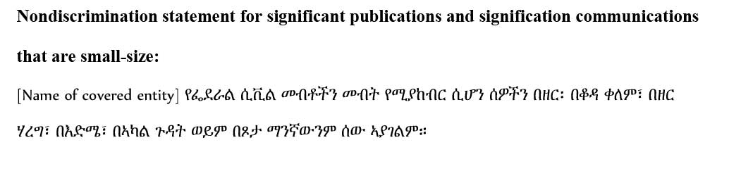 sample ce statement amharic